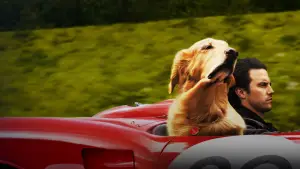 Backdrop to the movie "The Art of Racing in the Rain" #716555