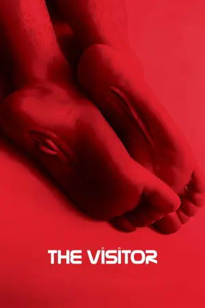 Poster to the movie "The Visitor" #756937