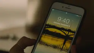 Backdrop to the movie "Palm Springs" #599775