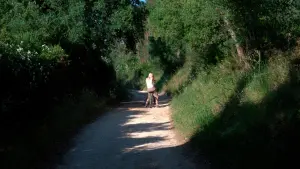 Backdrop to the movie "De Aqui para Ali" #475861