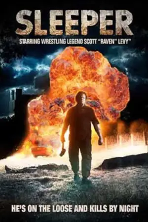 Poster to the movie "Sleeper" #730252