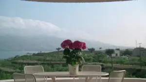 Backdrop to the movie "Angel of Death" #735899