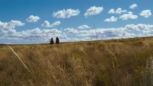 Backdrop to the movie "The Outlaw Josey Wales" #670929