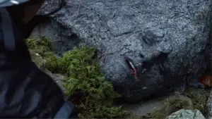 Backdrop to the movie "The Hunger Games" #603241