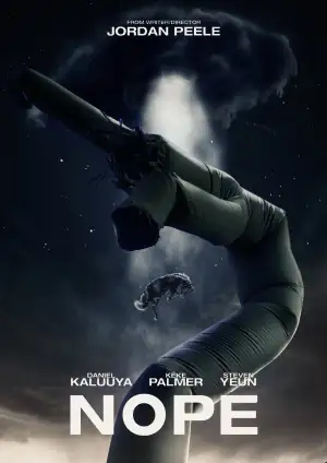 Poster to the movie "Nope" #801996