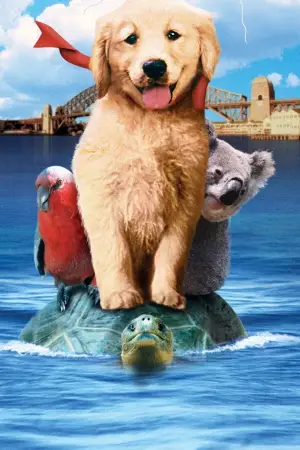 Poster to the movie "Napoleon" #646965