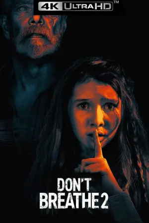 Poster to the movie "Don
