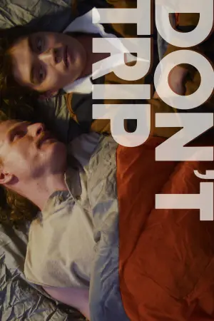 Poster to the movie "Don