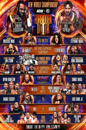 Poster to the movie "AEW x NJPW Present Forbidden Door 2024" #738578