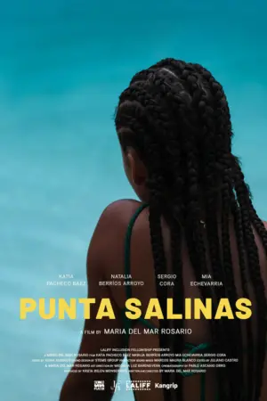 Poster to the movie "Punta Salinas" #480696