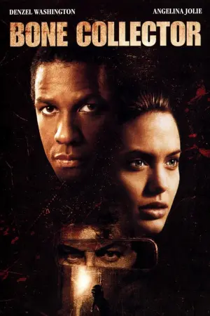 Poster to the movie "The Bone Collector" #115920
