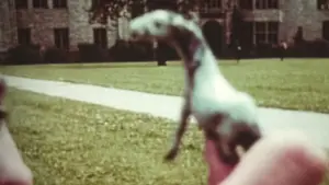 Backdrop to the movie "Charmides" #689399