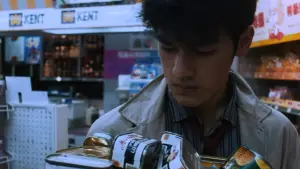 Backdrop to the movie "Chungking Express" #655516