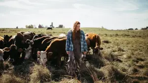 Backdrop to the movie "Green and Gold" #673501