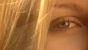 Backdrop to the movie "The Virgin Suicides" #240228