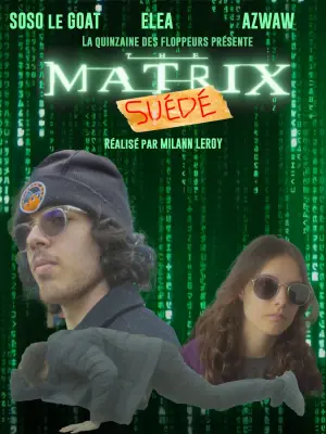 Poster to the movie "The Matrix : Suédé" #467768