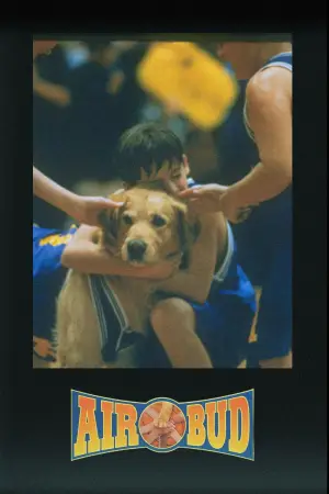 Poster to the movie "Air Bud" #626794