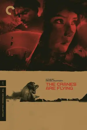 Poster to the movie "The Cranes Are Flying" #720511