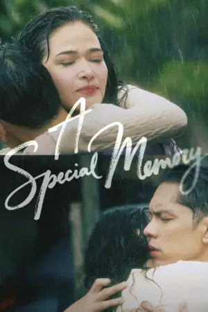 Poster to the movie "A Special Memory" #767125
