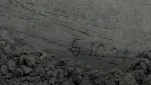 Backdrop to the movie "Blade Runner 2049" #548703