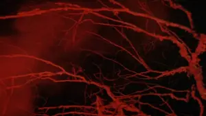 Backdrop to the movie "Dersu Uzala" #751362