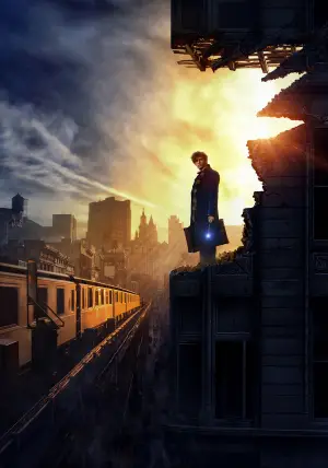 Poster to the movie "Fantastic Beasts and Where to Find Them" #590632