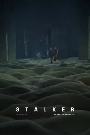 Poster to the movie "Stalker" #176912