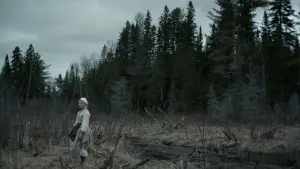 Backdrop to the movie "The Witch" #600273