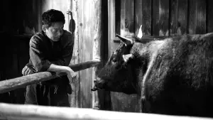 Backdrop to the movie "Black Ox" #543243