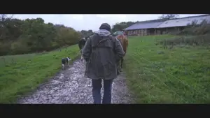 Backdrop to the movie "Violence dans les Champs" #794466