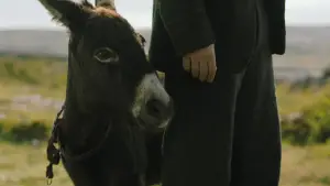 Backdrop to the movie "The Banshees of Inisherin" #693702