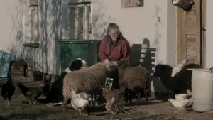 Backdrop to the movie "a Few Mornings, an Evening" #788071