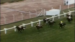 Backdrop to the movie "Punters" #743743