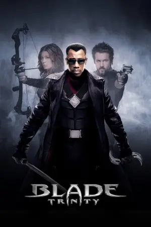 Poster to the movie "Blade: Trinity" #673659
