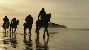 Backdrop to the movie "War for the Planet of the Apes" #585948