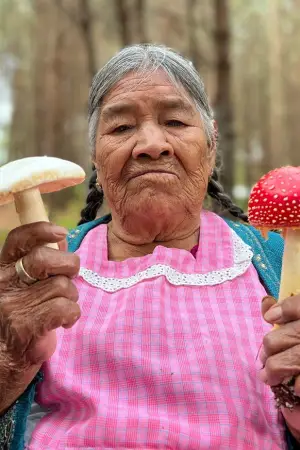 Poster to the movie "Daughters of the Forest" #559737