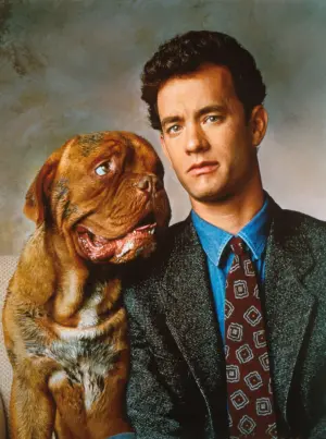 Poster to the movie "Turner & Hooch" #289472