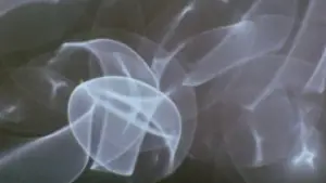 Backdrop to the movie "Comingled Containers" #706788