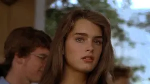 Backdrop to the movie "Endless Love" #505394