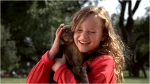 Backdrop to the movie "Monkey Trouble" #425458