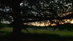 Backdrop to the movie "Heart of Oak" #198317