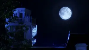 Backdrop to the movie "Practical Magic" #697221