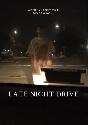 Poster to the movie "Late Night Drive" #488705
