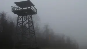 Backdrop to the movie "The Village" #728800