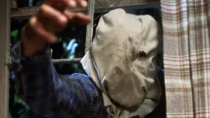 Backdrop to the movie "Friday the 13th Part 2" #665858