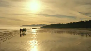 Backdrop to the movie "War for the Planet of the Apes" #585939