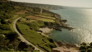 Backdrop to the movie "Desire" #464962