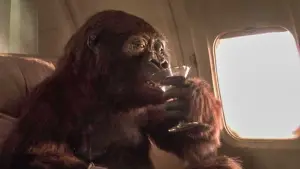 Backdrop to the movie "Congo" #701571