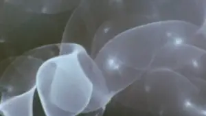 Backdrop to the movie "Comingled Containers" #706790