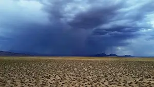 Backdrop to the movie "Horror in the High Desert 4: Majesty" #783716